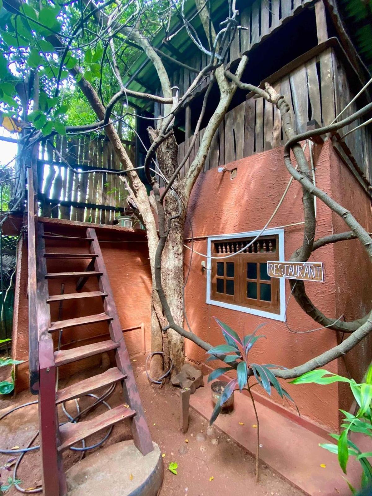 Hotel Hideaway Garage Dambulla Extérieur photo